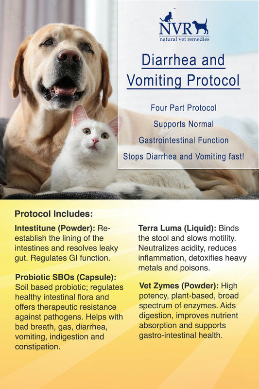 Natural Vet Remedies Diarrhea and Vomiting Protocol Instruction Card