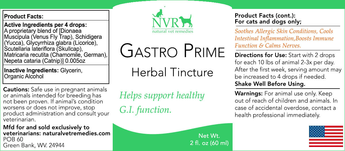 Gastro-Prime